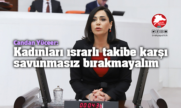 Yüceer: “Türkiye’de her 10 kadından 3’ü ısrarlı takibe uğruyor”