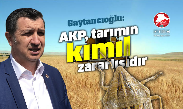 Gaytancıoğlu: “AKP tarımımızın kımıl zararlısı”