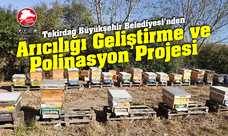 Tekirdağ Büyükşehir Belediyesi arıcılıkta en büyük projeyi hayata geçirdi