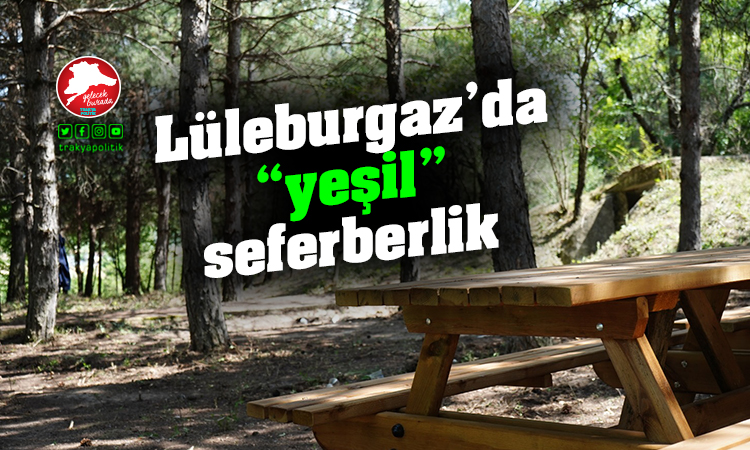 Lüleburgaz’da 2 yılda 2 bin 675 ağaç toprakla buluştu