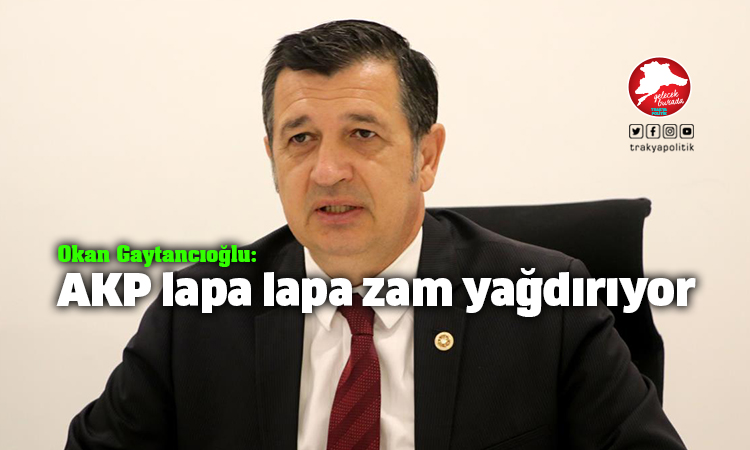 Gaytancıoğlu: “AKP lapa lapa zam yağdırıyor”