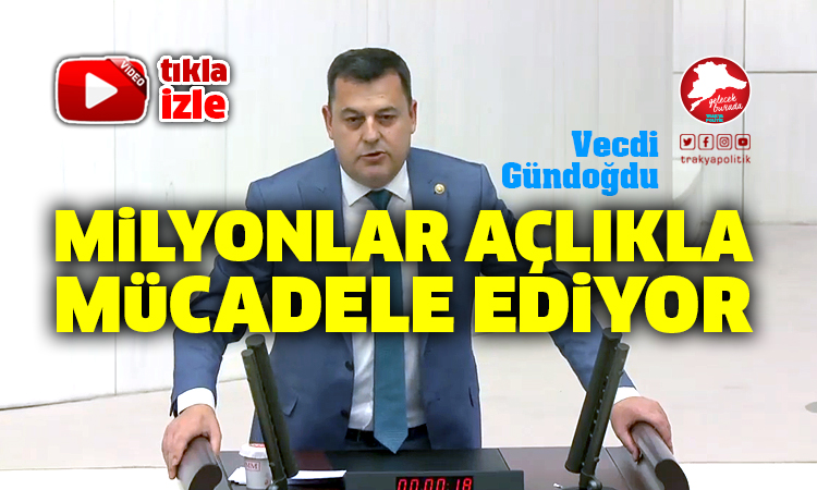 Gündoğdu: “AKP saraylarda Lale Devri yaşamaya devam ediyor”