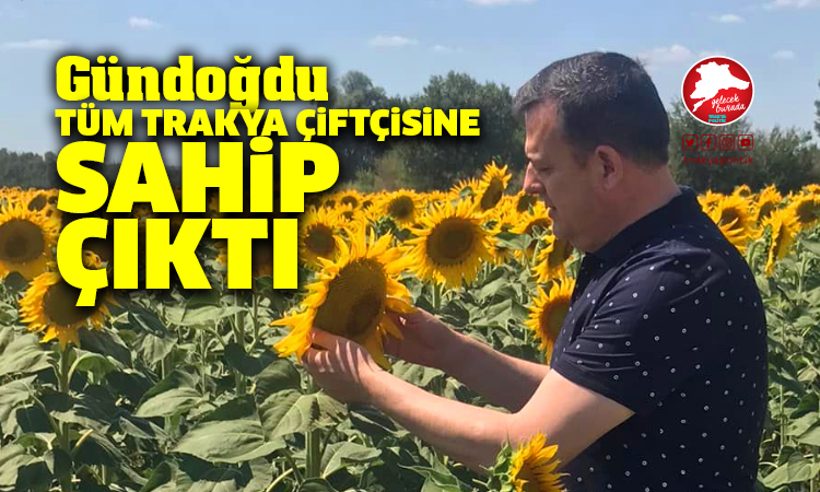 Gündoğdu: “Trakya’da ayçiçeği üreticisine AKP’den bir darbe daha”