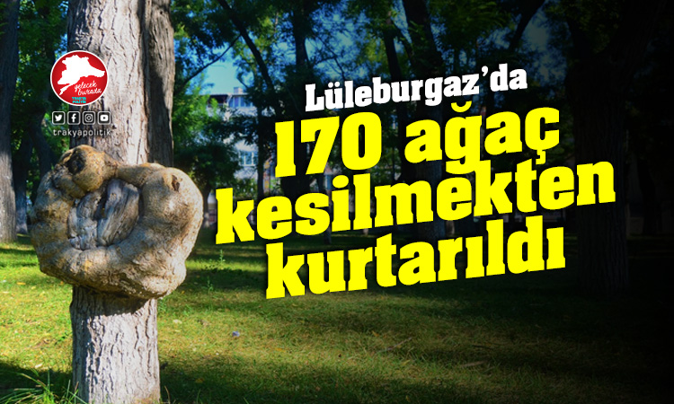 Lüleburgaz’da 170 ağaç kesilmekten kurtuldu