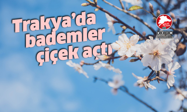 Edirne’de bademler çiçek açtı