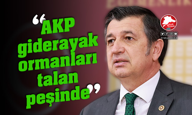 Gaytancıoğlu: “AKP giderayak ormanları talan peşinde”