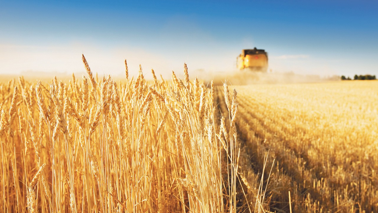 Çiftçilerden buğday fiyatına tepki