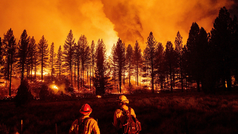 Orman yangınlarıyla mücadeleye bütçe yok: İhaleler iptal edildi