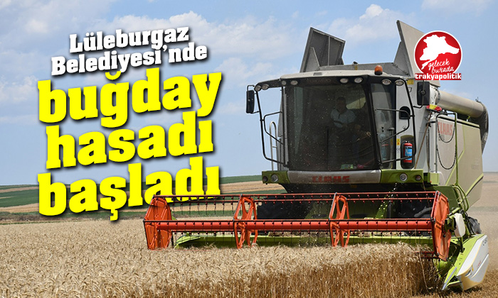 Lüleburgaz Belediyesi buğday hasadı yaptı