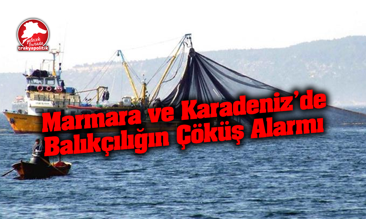 Marmara ve Karadeniz’de Balıkçılığın Çöküş Alarmı