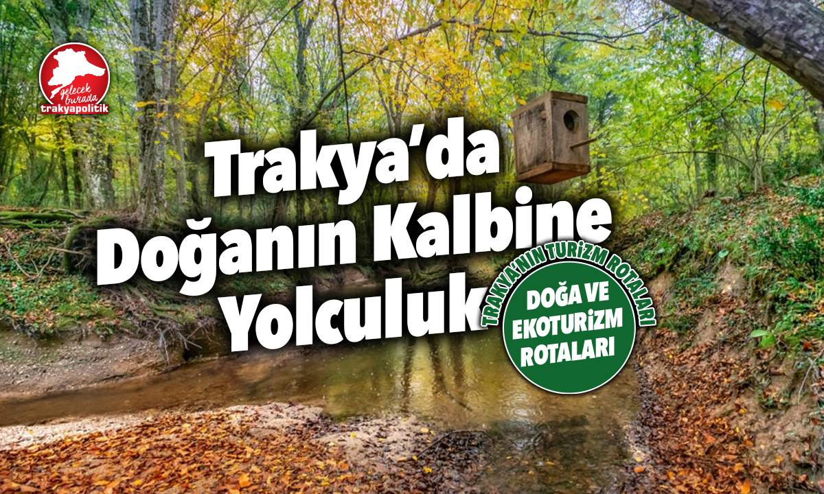 Yeşilin Kalbinde: Trakya’nın Doğa ve Ekoturizm Rotaları