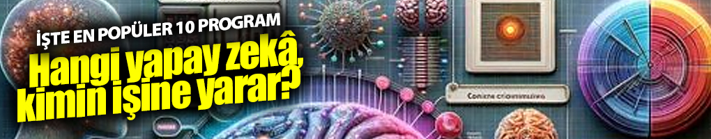 Hangi yapay zekâ, hangi sektörde etkili?