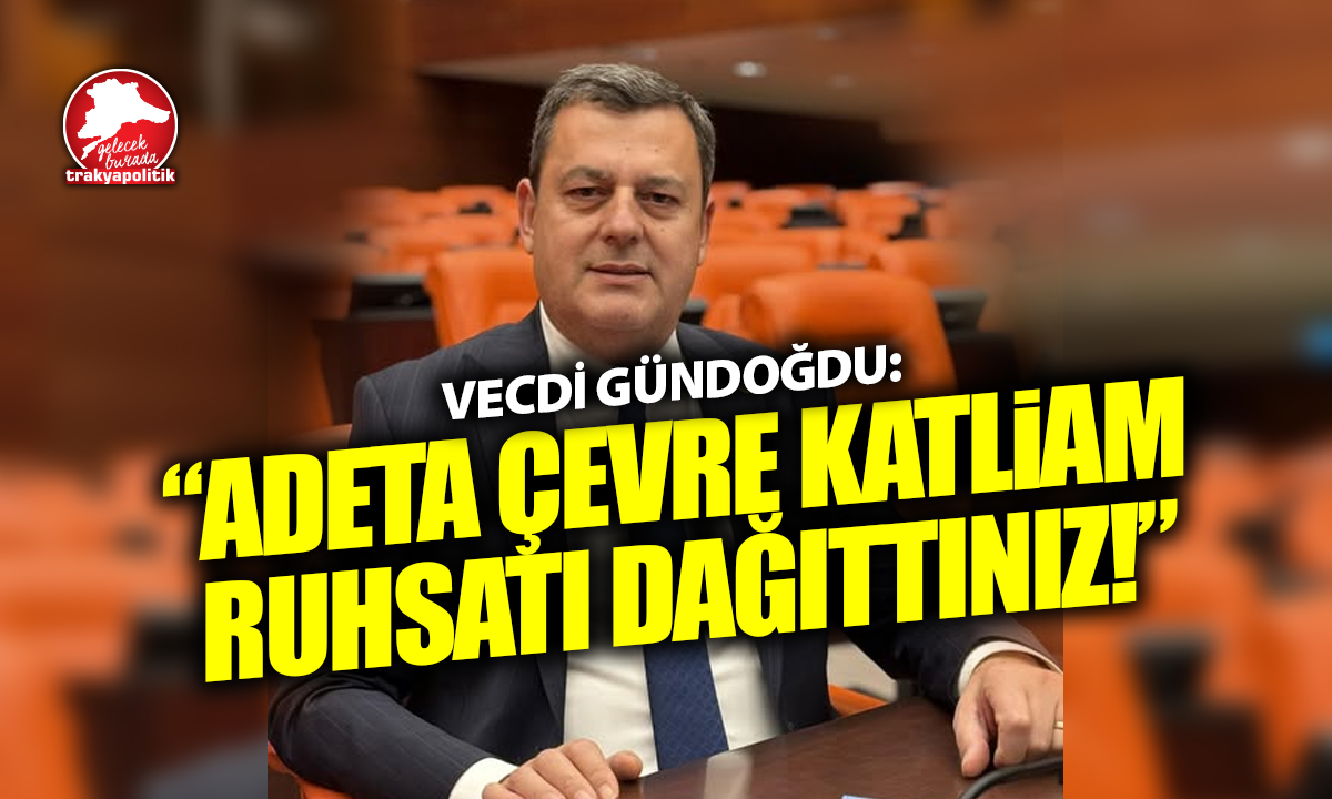 Gündoğdu’dan sert ÇED eleştirisi: “Adeta çevre katliamı ruhsatı dağıttınız!”