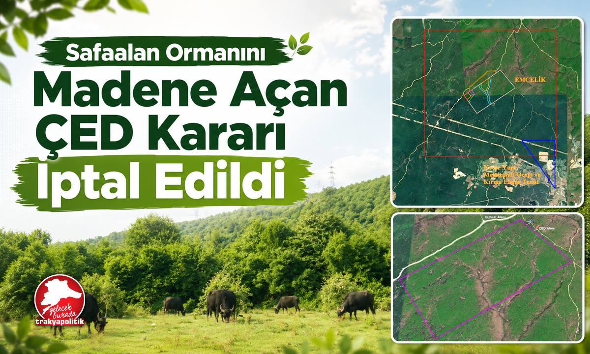 Safaalan Ormanını Madene Açan ÇED Kararı İptal Edildi